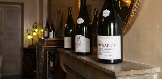 Collector's Indulgence: Discovering Burgundy, One Layer at a Time