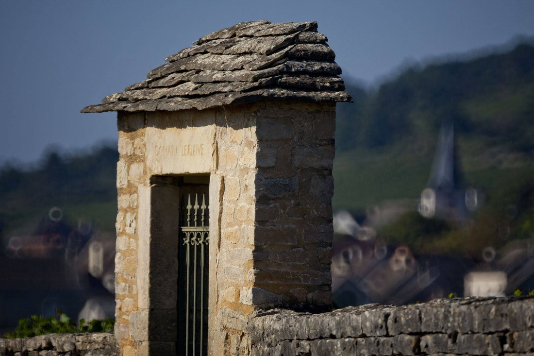 Raise a Glass to the Women Who Shaped Your Cellar